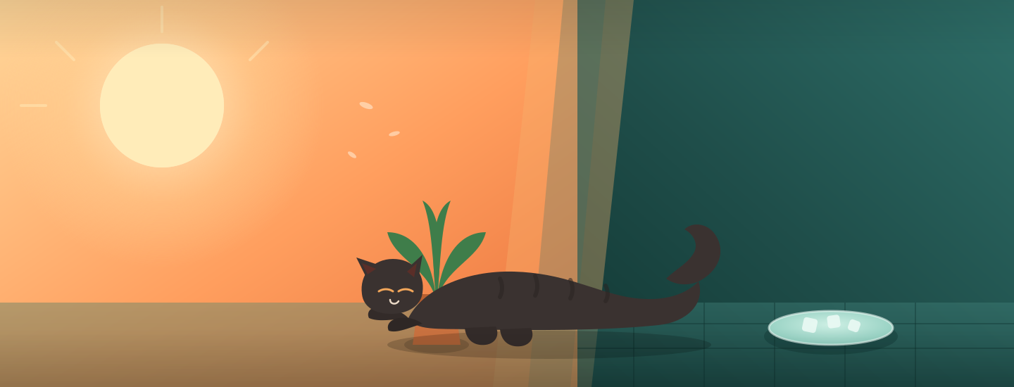 Cat grooming